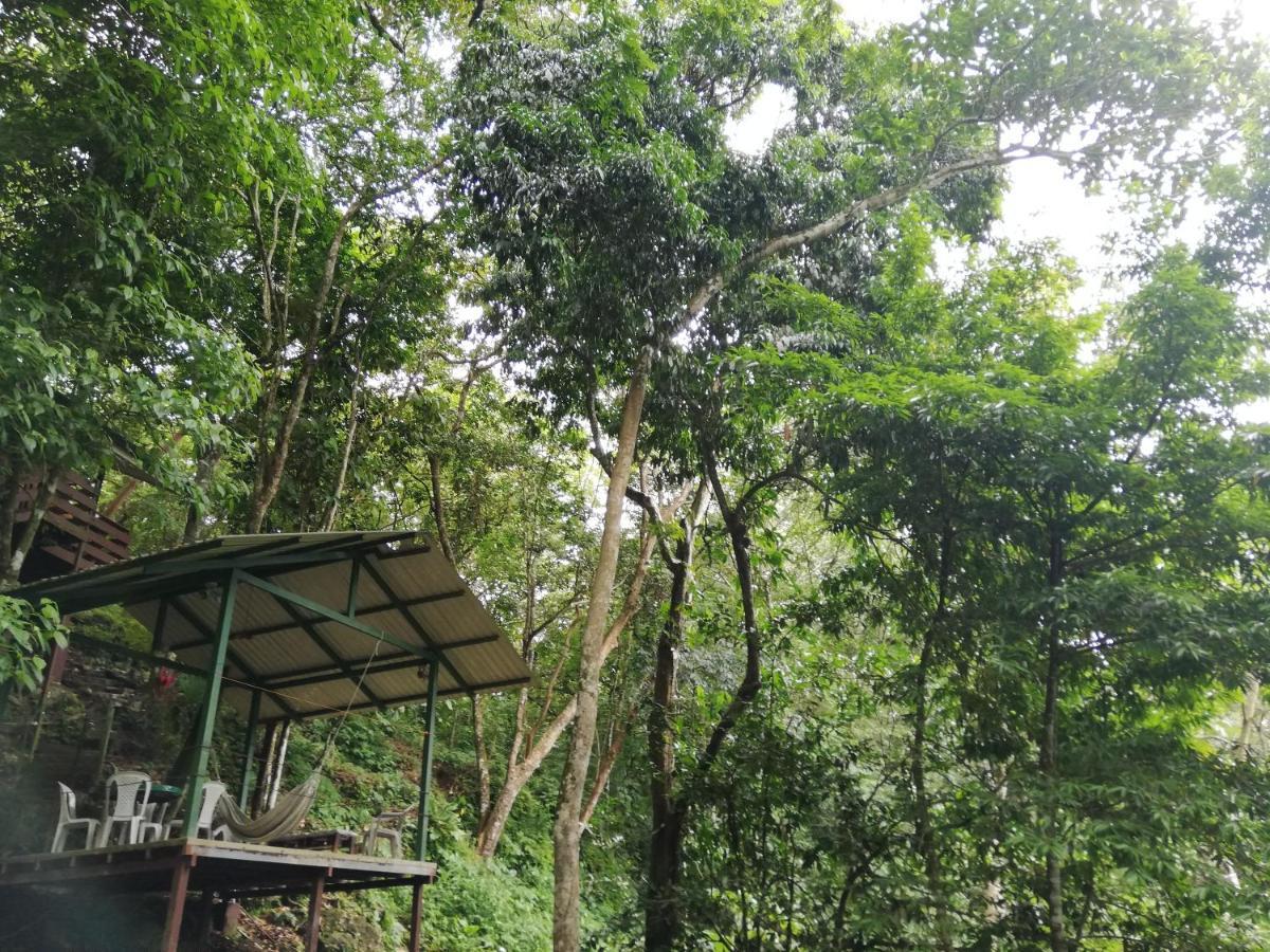 La Montanita Lodge Manuel Antonio Kültér fotó