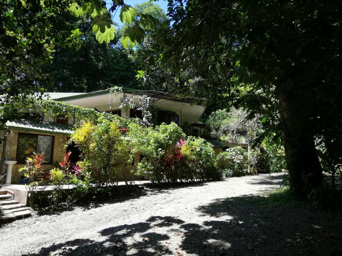 La Montanita Lodge Manuel Antonio Kültér fotó