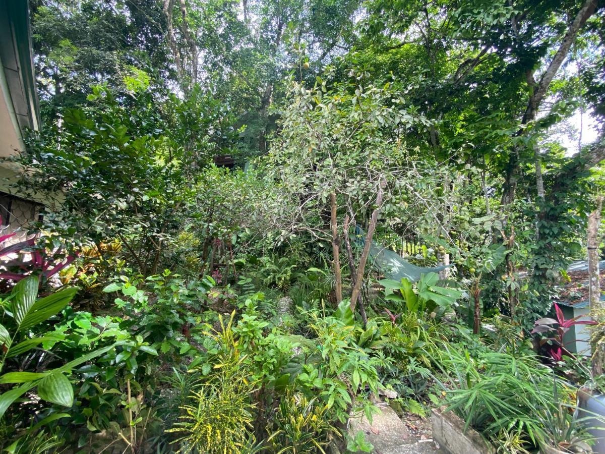 La Montanita Lodge Manuel Antonio Kültér fotó